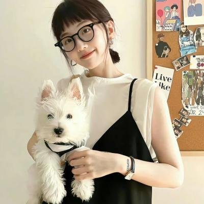 野兔邦妮